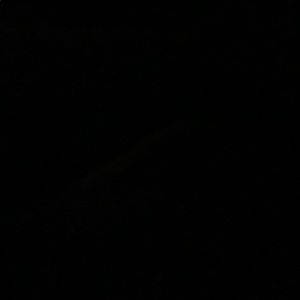 Meet your Posher, Lederrick